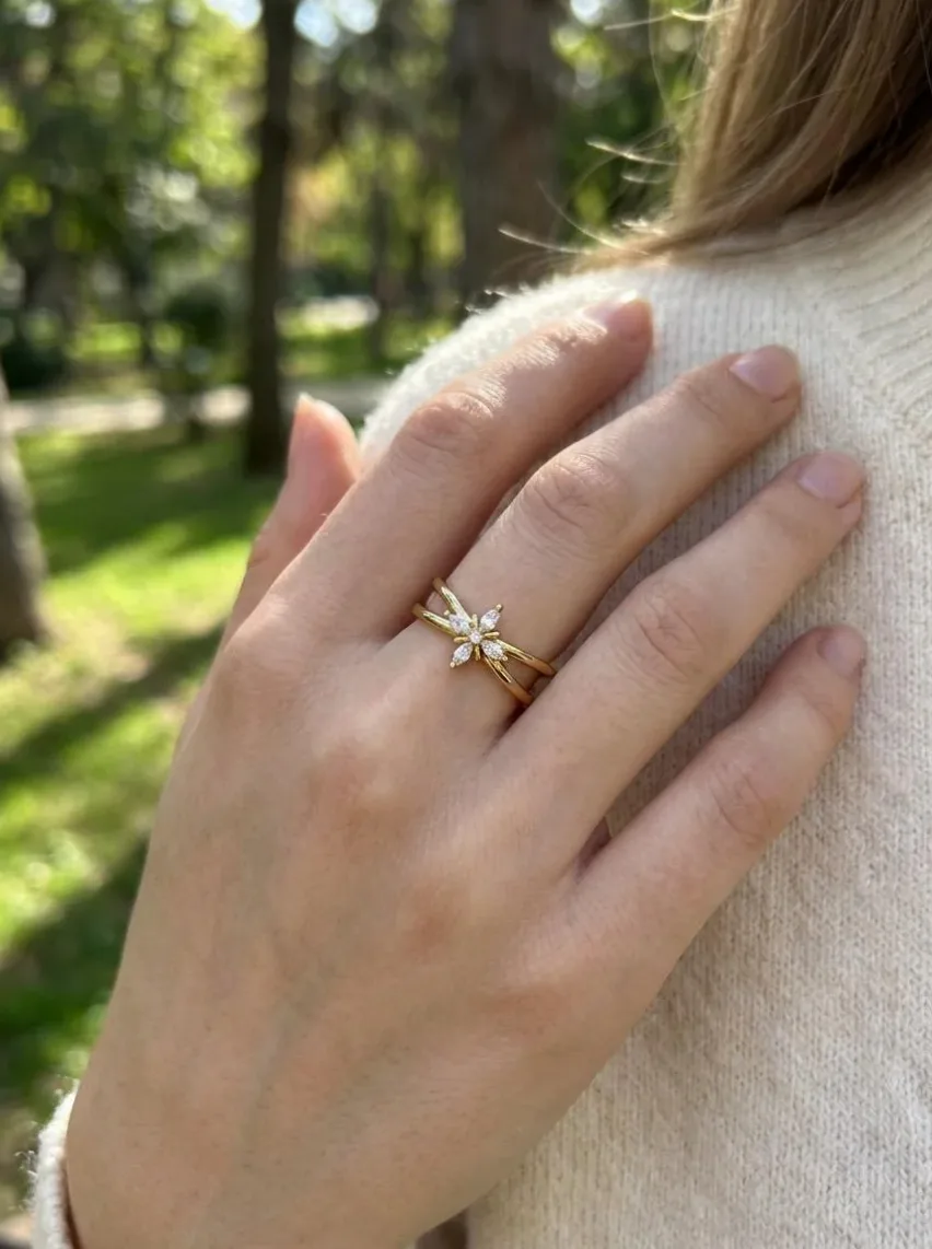 Anillos