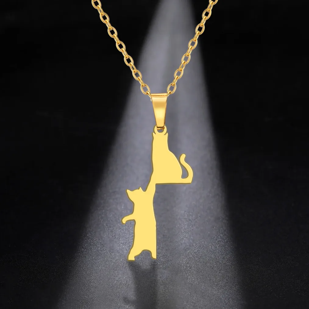 Collier acier gravé prénom chat – personnalisable — vue 3 — Gemzara