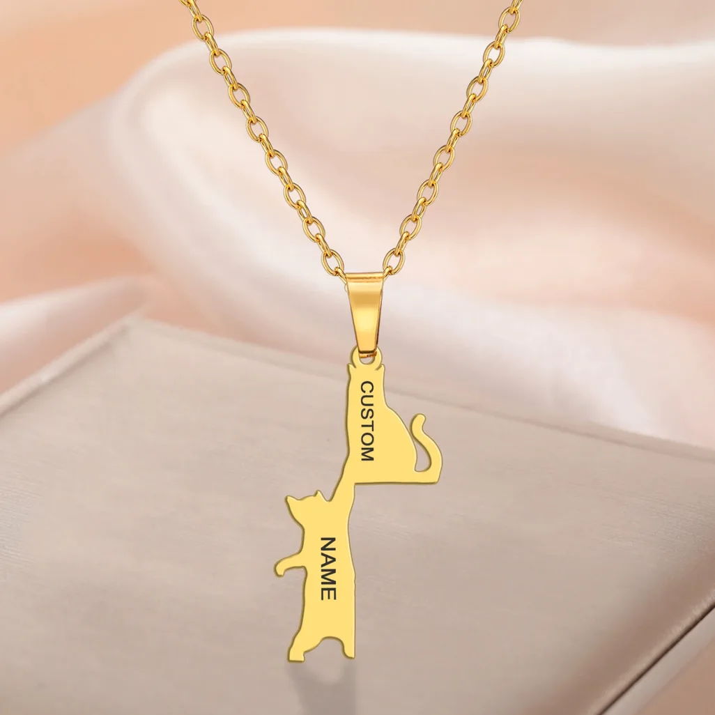 Collier acier gravé prénom chat – personnalisable — Gemzara