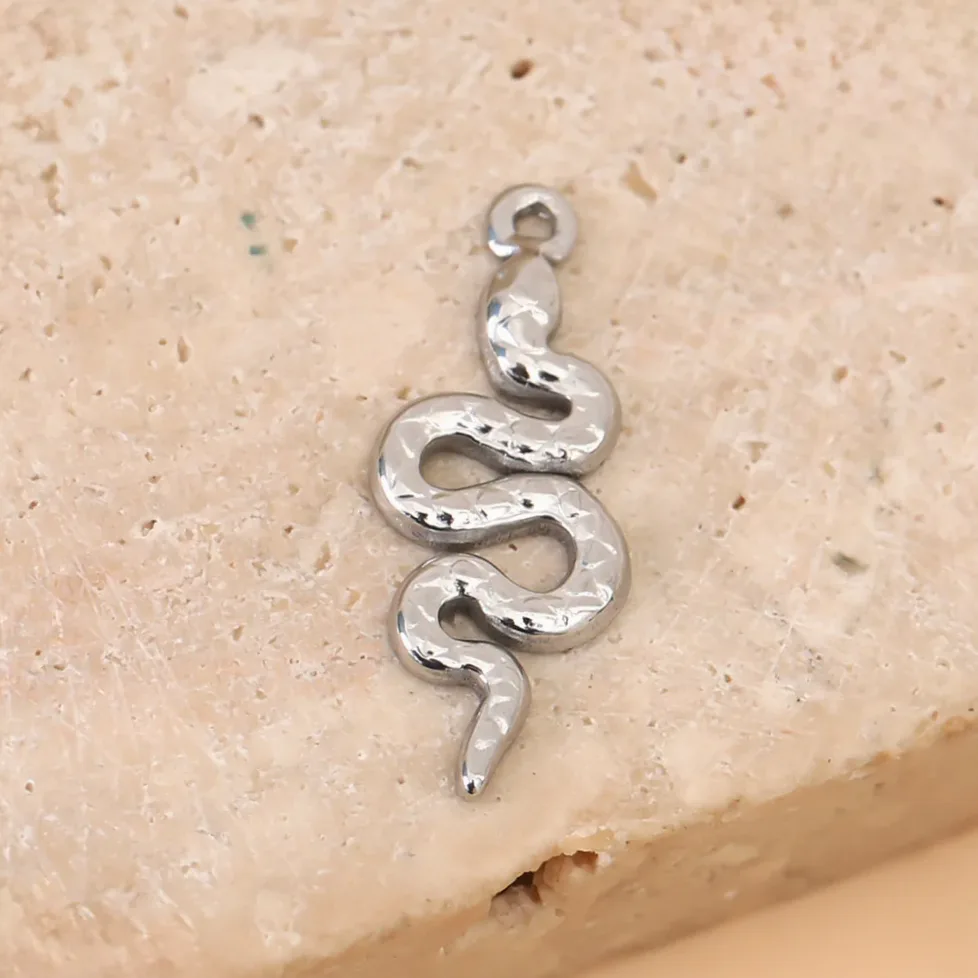 Schlange Anhänger silber gehämmert Set Schmuck — Gemzara