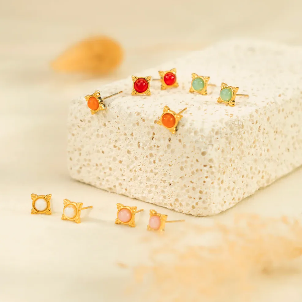 Puces d'oreilles colorées